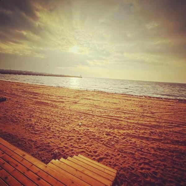 Sporkoey Hotel & Beach Club Darıca Eksteriør billede